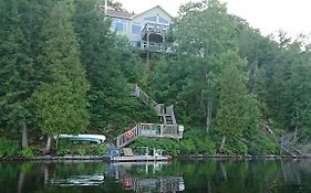 Treetop Tranquility - Silver Lake